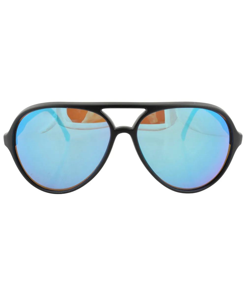 HEDGES Black Aviator Sunglasses